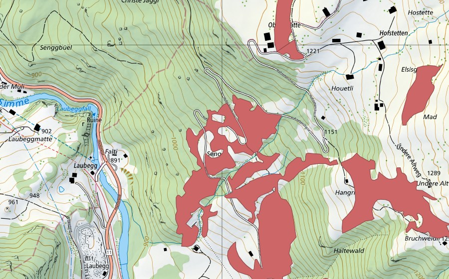 swisstopo national map showing the protected perimeter of Senggi (Dry meadow)