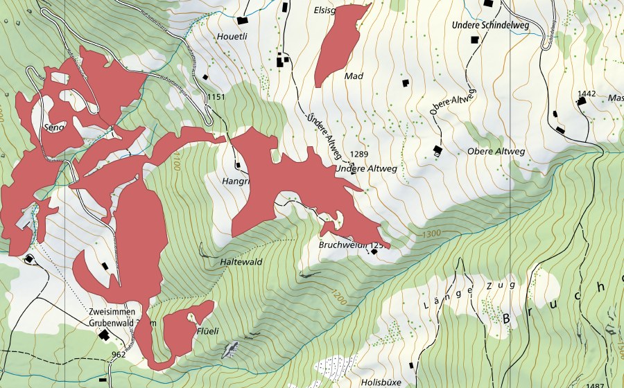 Landeskarte swisstopo mit dem Schutzperimeter von Senggi (Trockenwiese)