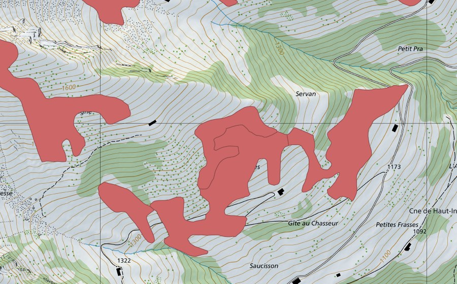 Landeskarte swisstopo mit dem Schutzperimeter von Servan (Trockenwiese)
