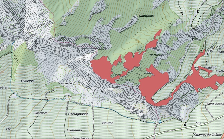 swisstopo national map showing the protected perimeter of Sex de Gru (Dry meadow)