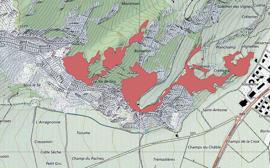 swisstopo national map showing the protected perimeter of Sex de Gru (Dry meadow)
