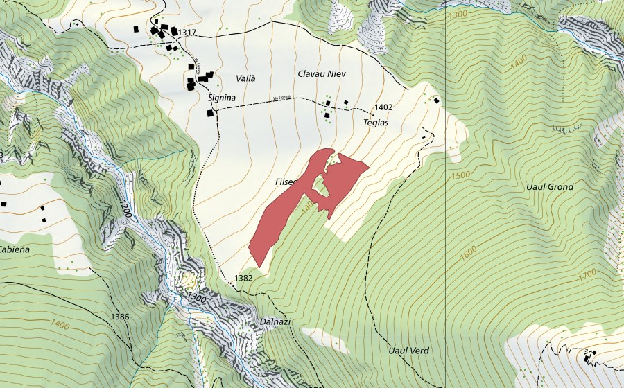 swisstopo national map showing the protected perimeter of Signina (Dry meadow)