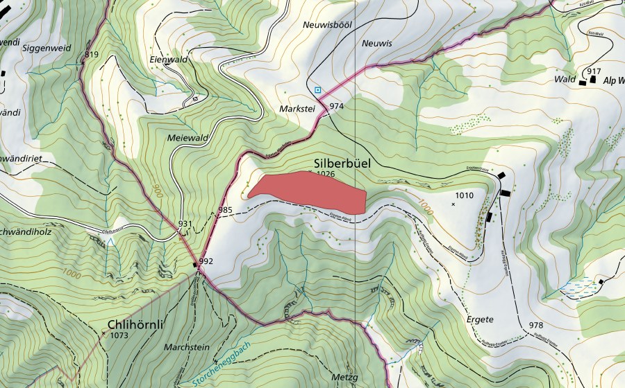 Landeskarte swisstopo mit dem Schutzperimeter von Silberbüel (Trockenwiese)