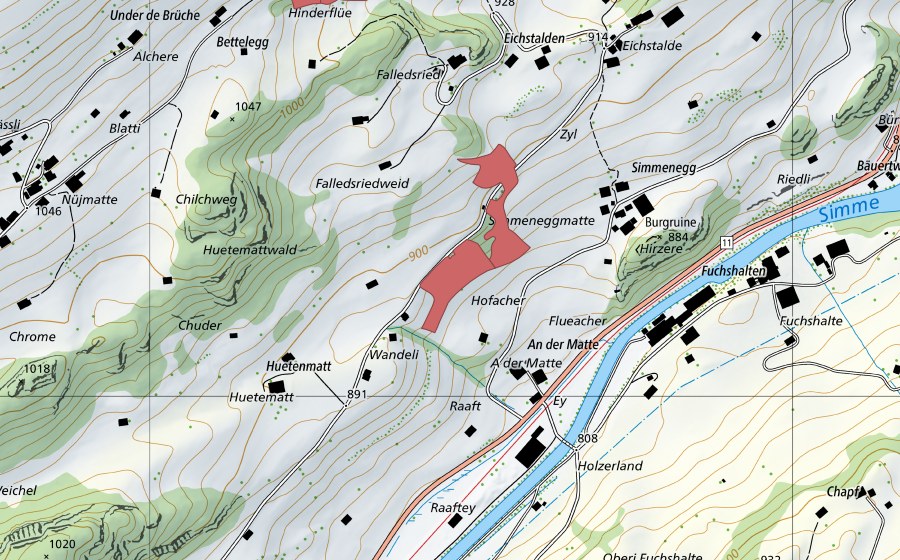 swisstopo national map showing the protected perimeter of Simmenegg (Dry meadow)