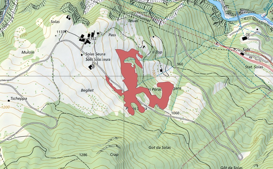 Landeskarte swisstopo mit dem Schutzperimeter von Solas (Trockenwiese)