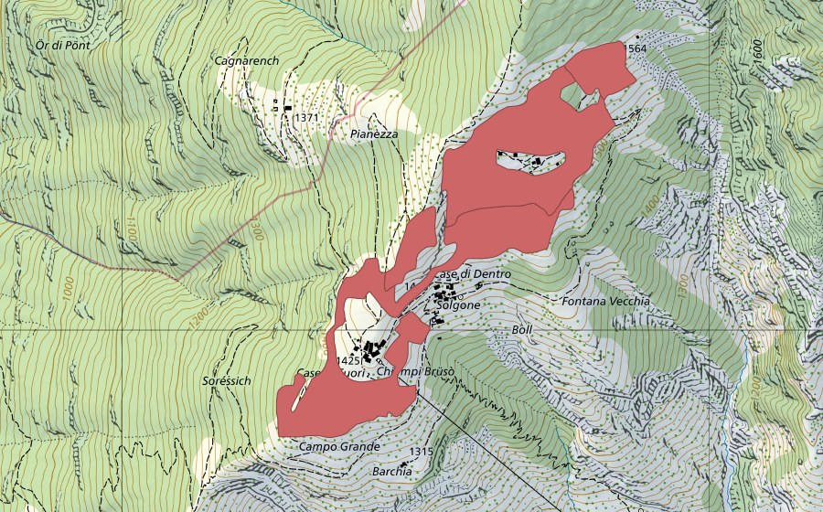 Landeskarte swisstopo mit dem Schutzperimeter von Solgone (Trockenwiese)