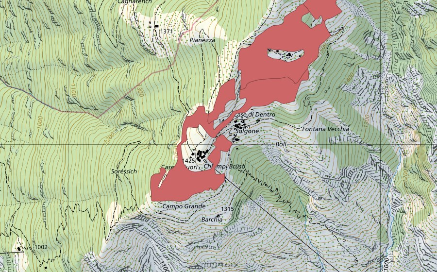 swisstopo national map showing the protected perimeter of Solgone (Dry meadow)