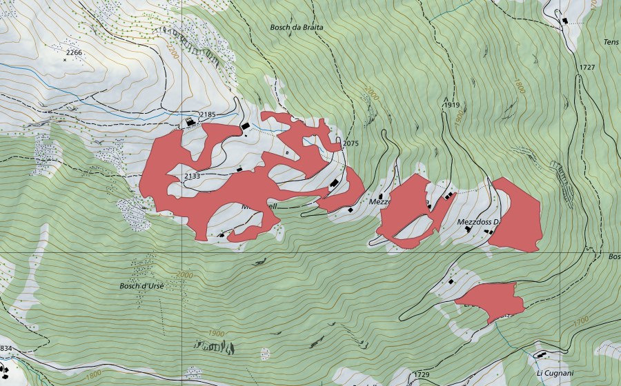 swisstopo national map showing the protected perimeter of Somdoss (Dry meadow)