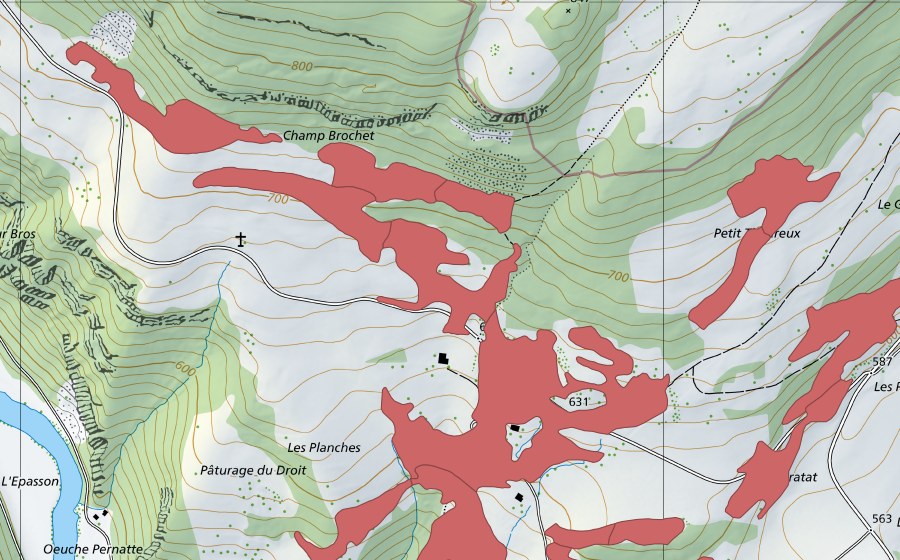 Landeskarte swisstopo mit dem Schutzperimeter von Soubey (Trockenwiese)