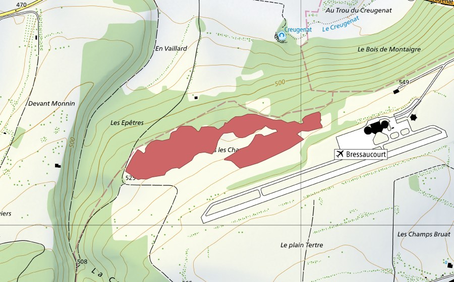 Carte nationale swisstopo avec le périmètre protégé de Sous les Champs Morlat (Prairie sèche)
