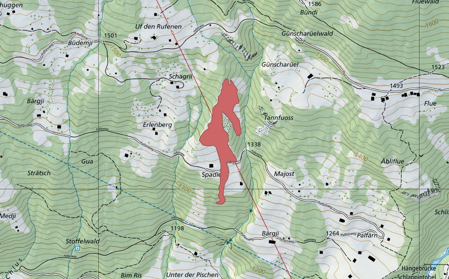 Landeskarte swisstopo mit dem Schutzperimeter von Spadlen (Trockenwiese)