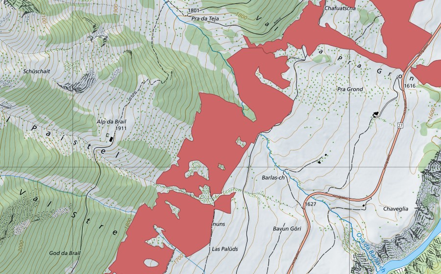 Carte nationale swisstopo avec le périmètre protégé de Spedlas-Vduogn (Prairie sèche)