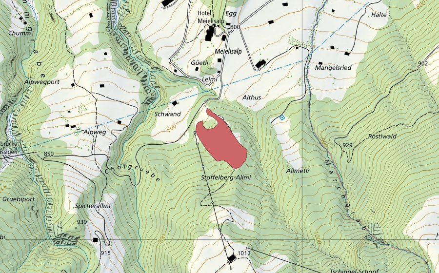 swisstopo national map showing the protected perimeter of Spicherallmi (Dry meadow)