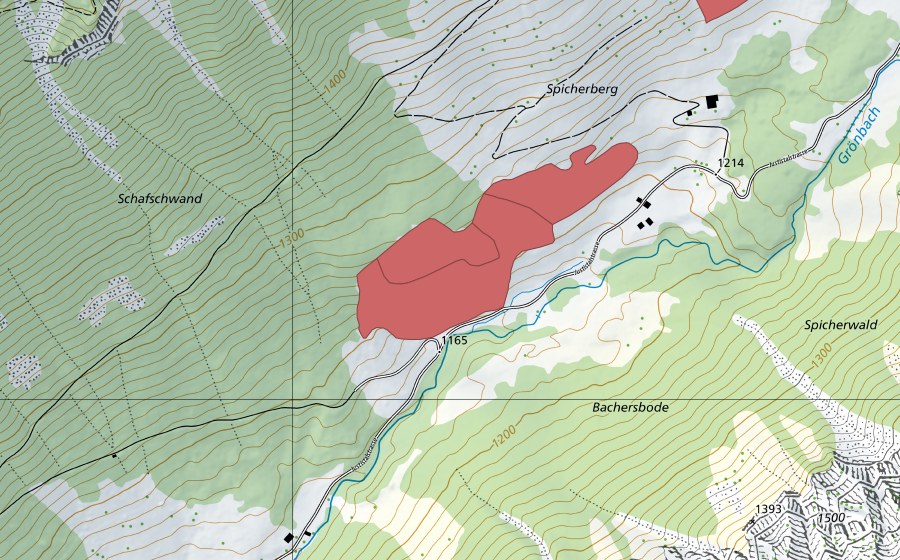 swisstopo national map showing the protected perimeter of Spicherberg (Dry meadow)