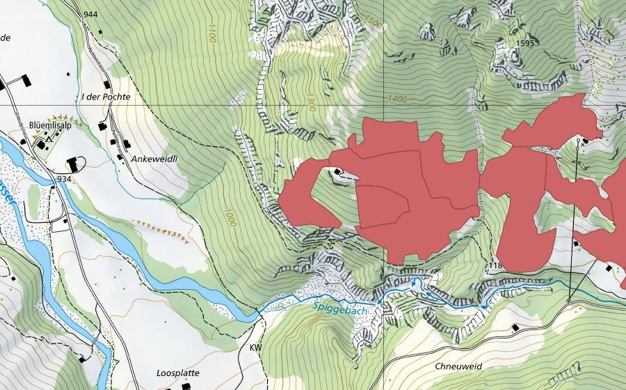 swisstopo national map showing the protected perimeter of Spiggeweid (Dry meadow)