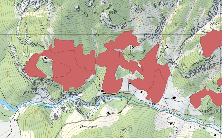 Landeskarte swisstopo mit dem Schutzperimeter von Spiggeweid (Trockenwiese)