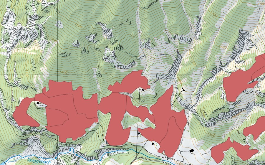 Landeskarte swisstopo mit dem Schutzperimeter von Spiggeweid (Trockenwiese)