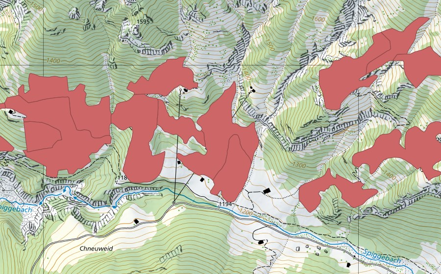 swisstopo national map showing the protected perimeter of Spiggeweid (Dry meadow)