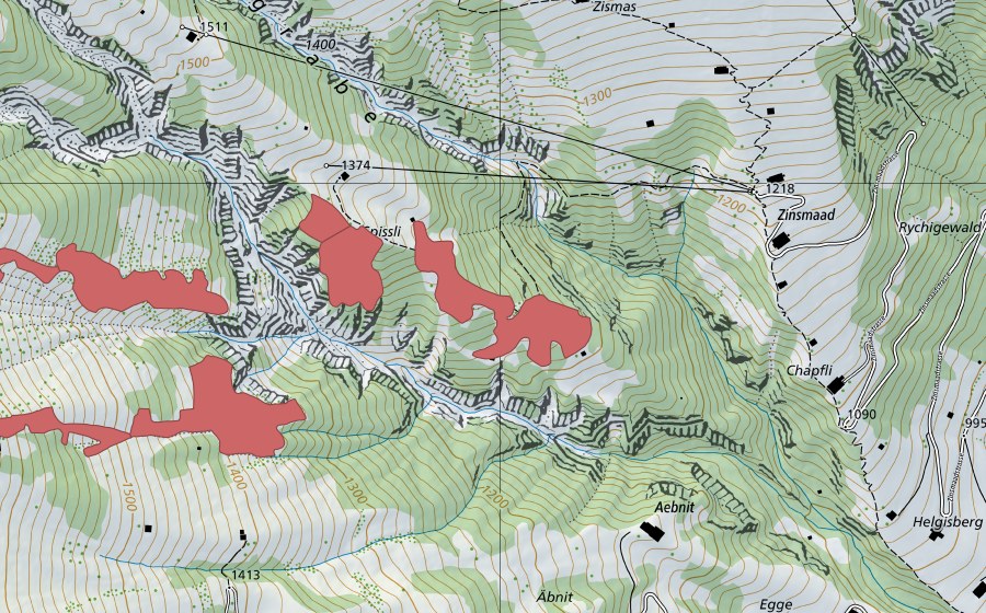 swisstopo national map showing the protected perimeter of Spissli (Dry meadow)