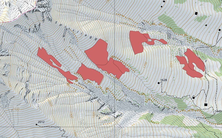 swisstopo national map showing the protected perimeter of Spissliegg (Dry meadow)