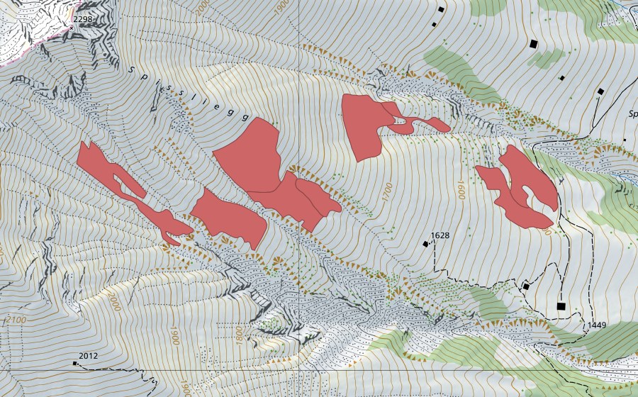swisstopo national map showing the protected perimeter of Spissliegg (Dry meadow)