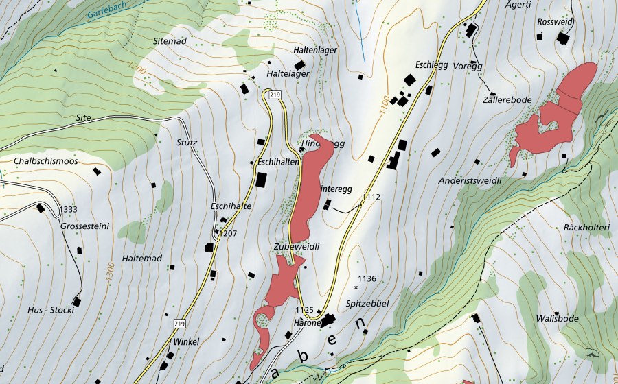 swisstopo national map showing the protected perimeter of Spitzebüel (Dry meadow)