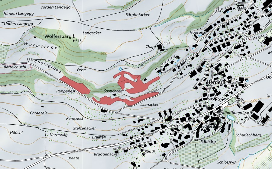 swisstopo national map showing the protected perimeter of Spottebärg (Dry meadow)