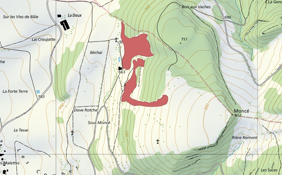 Landeskarte swisstopo mit dem Schutzperimeter von St-Jean (Trockenwiese)