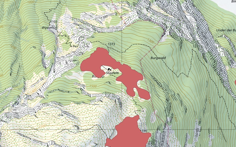swisstopo national map showing the protected perimeter of Stääfelti (Dry meadow)
