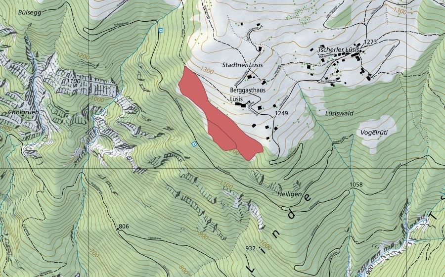 Carte nationale swisstopo avec le périmètre protégé de Stadtner Lüsis (Prairie sèche)