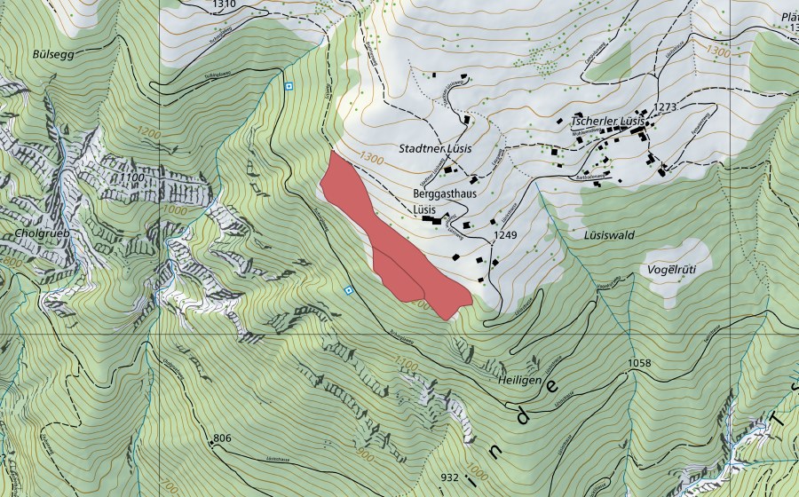 swisstopo national map showing the protected perimeter of Stadtner Lüsis (Dry meadow)