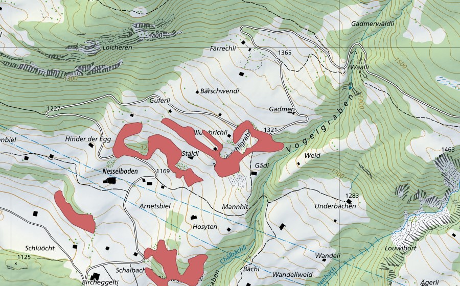 Landeskarte swisstopo mit dem Schutzperimeter von Staldi (Trockenwiese)