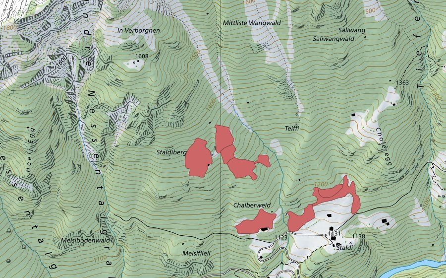 Landeskarte swisstopo mit dem Schutzperimeter von Staldiberg (Trockenwiese)