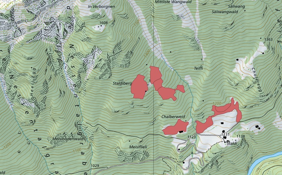Carte nationale swisstopo avec le périmètre protégé de Staldiberg (Prairie sèche)