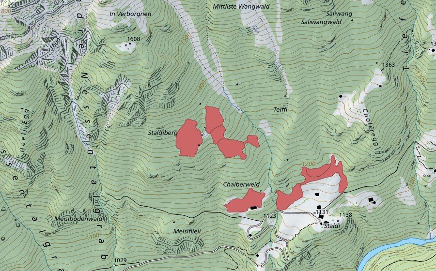 Carte nationale swisstopo avec le périmètre protégé de Staldiberg (Prairie sèche)