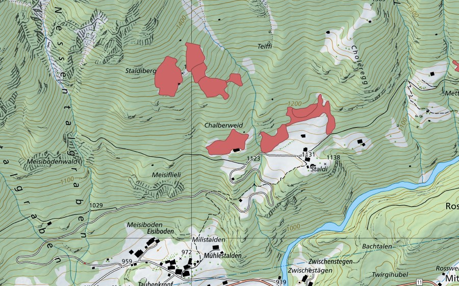 Landeskarte swisstopo mit dem Schutzperimeter von Staldiberg (Trockenwiese)