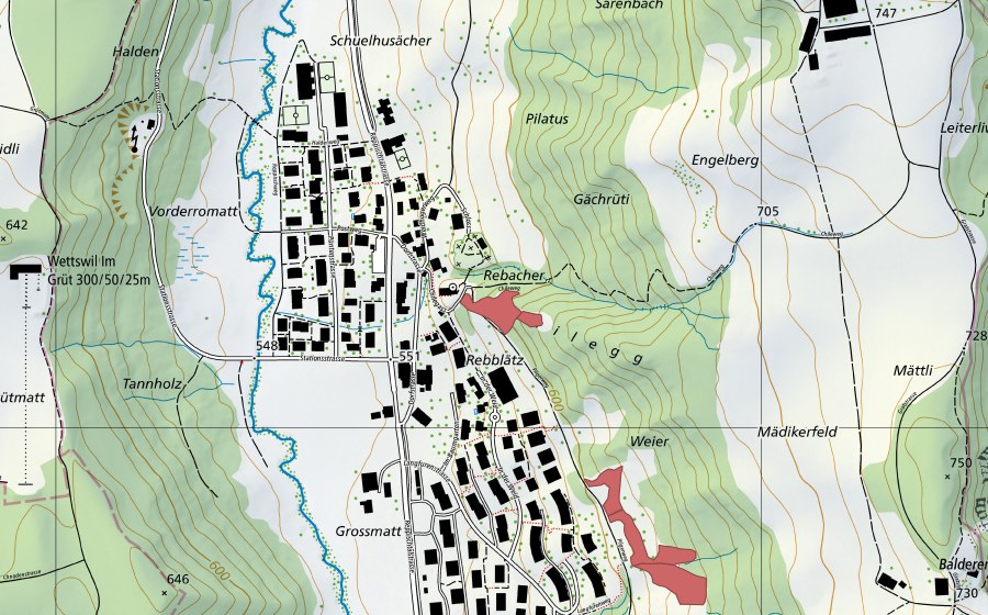 swisstopo national map showing the protected perimeter of Stallikon (Dry meadow)