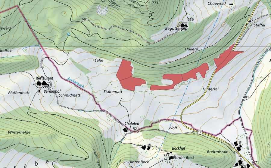 swisstopo national map showing the protected perimeter of Staltenmatt (Dry meadow)