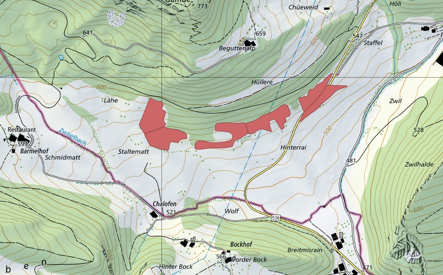 Carte nationale swisstopo avec le périmètre protégé de Staltenmatt (Prairie sèche)