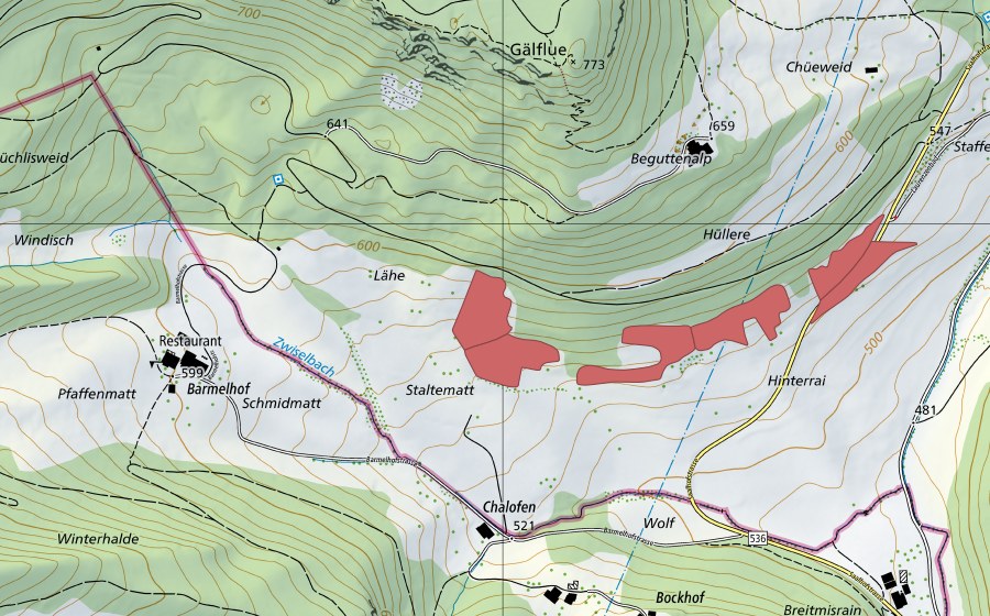 Landeskarte swisstopo mit dem Schutzperimeter von Staltenmatt (Trockenwiese)