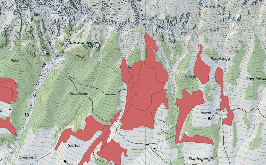 swisstopo national map showing the protected perimeter of Stapfenplangg (Dry meadow)