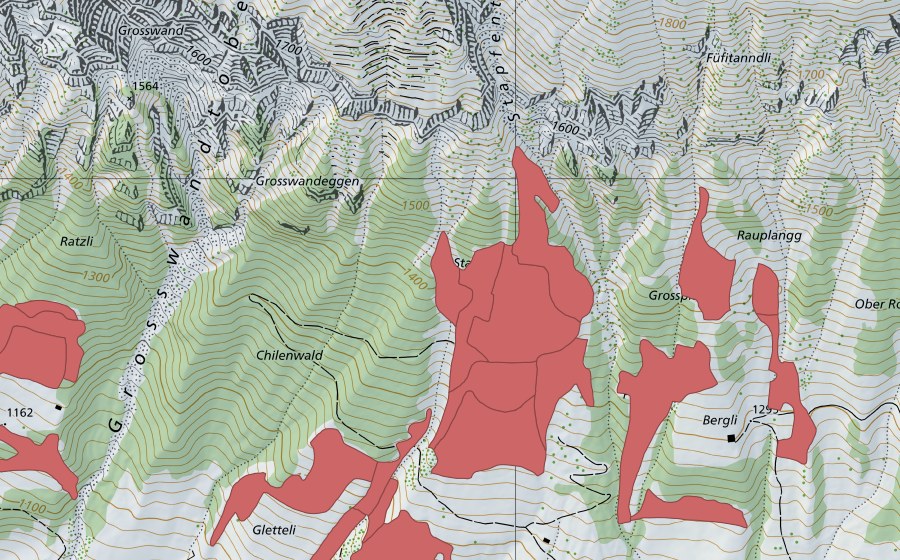 swisstopo national map showing the protected perimeter of Stapfenplangg (Dry meadow)
