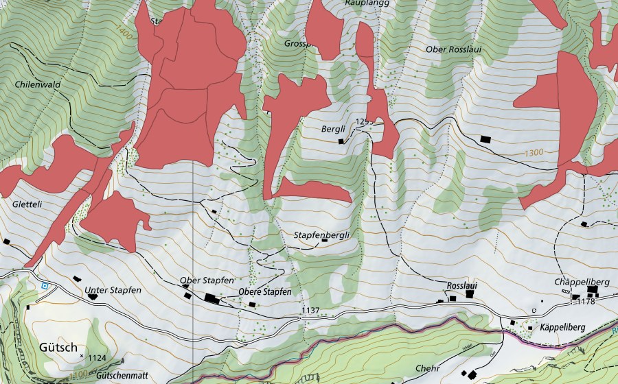 swisstopo national map showing the protected perimeter of Stapfenplangg (Dry meadow)