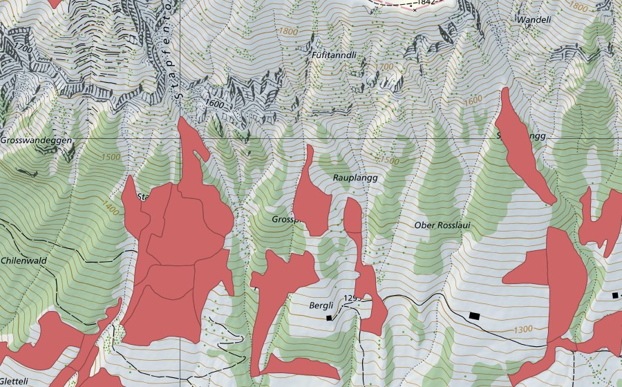 swisstopo national map showing the protected perimeter of Stapfenplangg (Dry meadow)