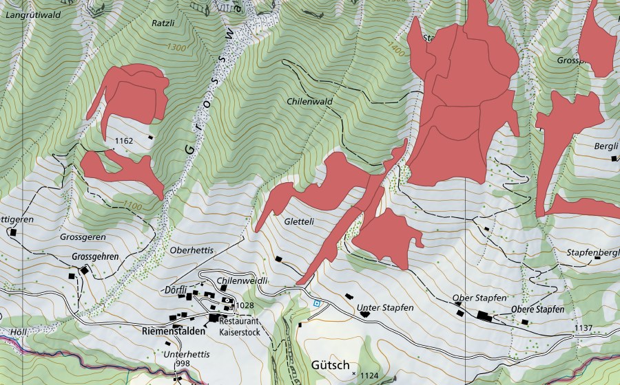 swisstopo national map showing the protected perimeter of Stapfenplangg (Dry meadow)