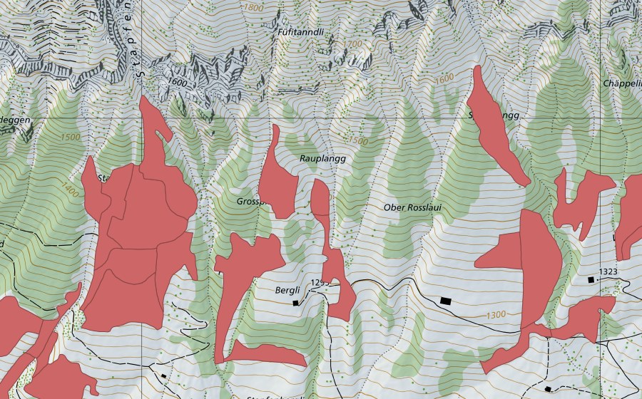 swisstopo national map showing the protected perimeter of Stapfenplangg (Dry meadow)