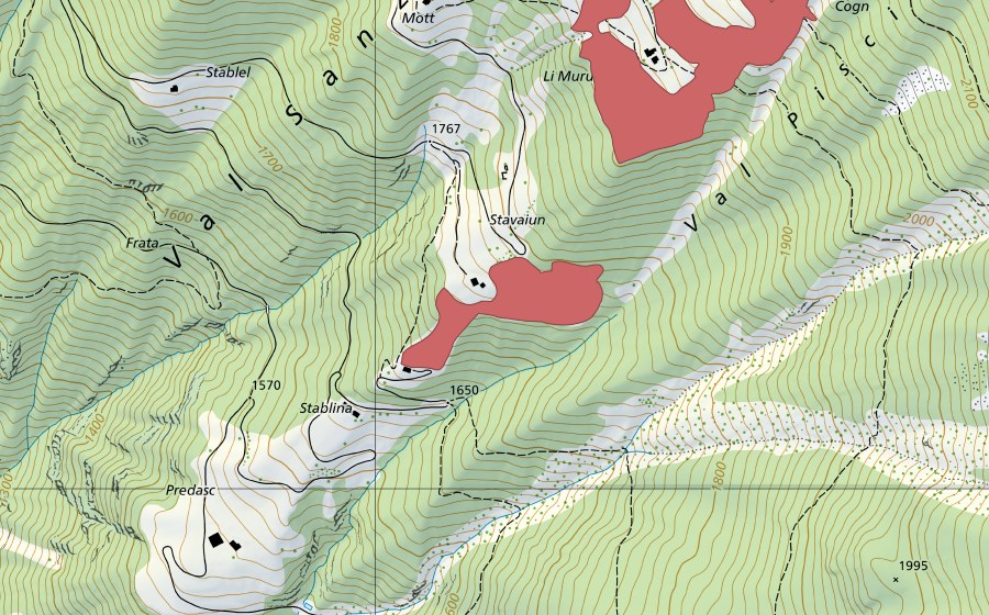 swisstopo national map showing the protected perimeter of Stavaiun (Dry meadow)