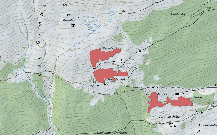Carte nationale swisstopo avec le périmètre protégé de Stavialas (Prairie sèche)