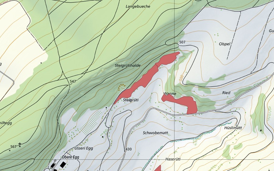 Landeskarte swisstopo mit dem Schutzperimeter von Steigrüti (Trockenwiese)