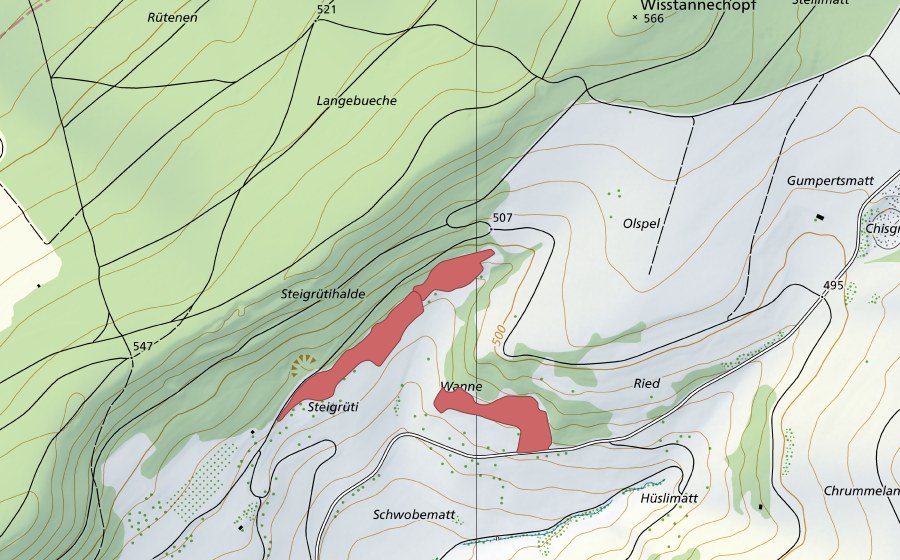 Landeskarte swisstopo mit dem Schutzperimeter von Steigrüti (Trockenwiese)